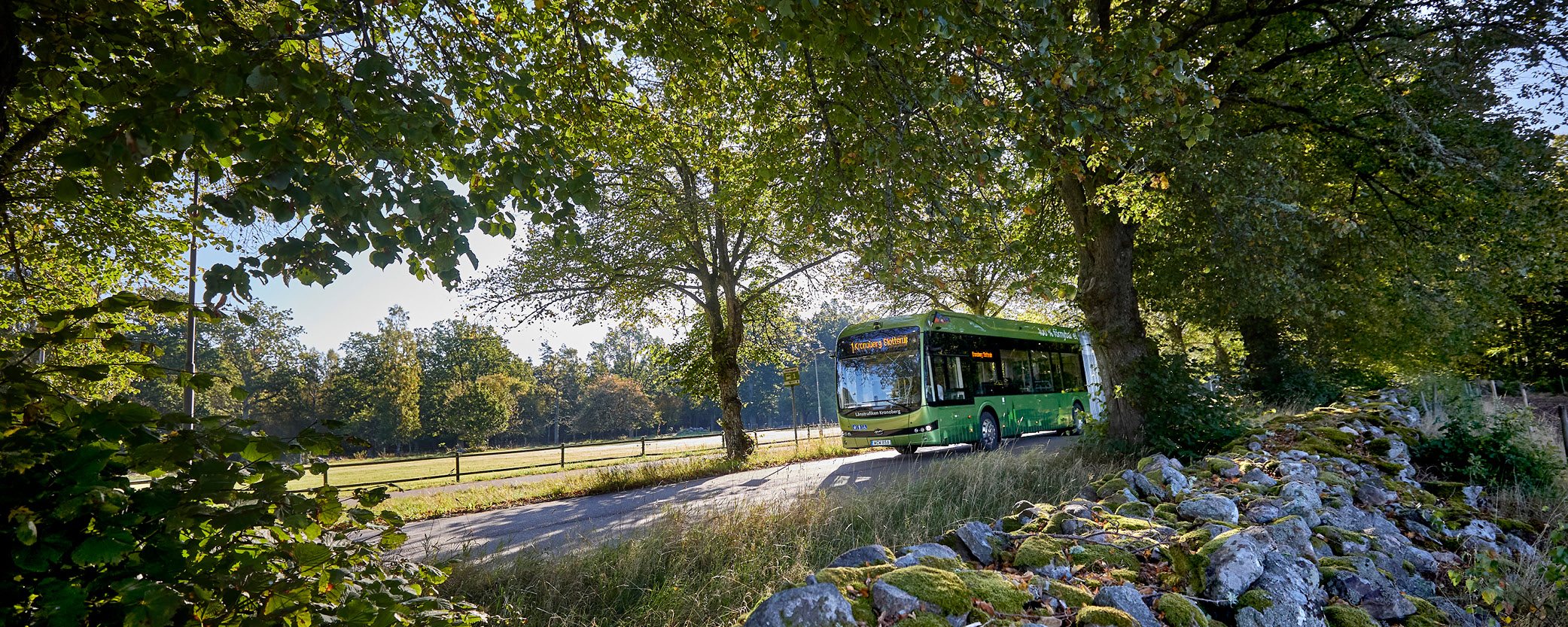 Stadsbuss kör på landsväg. Det är grönt och sommar.